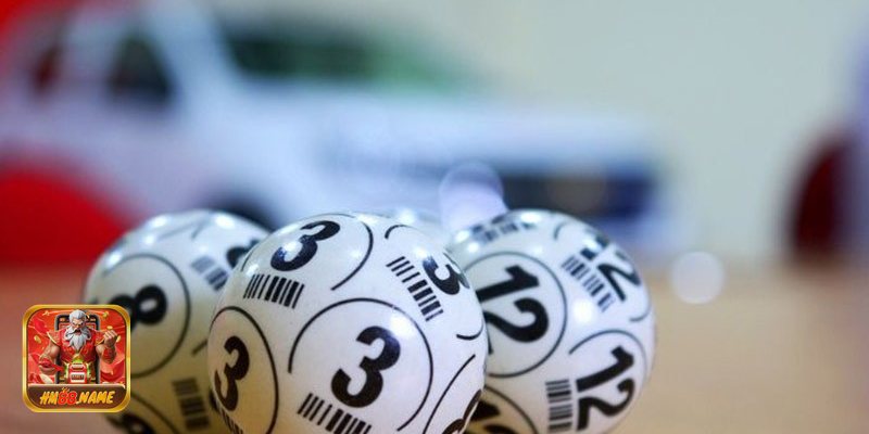 Nuôi lô 7 ngày - Khi nào nên áp dụng?